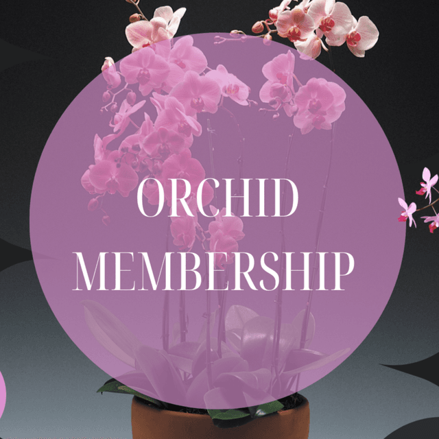 Orchid Membership 